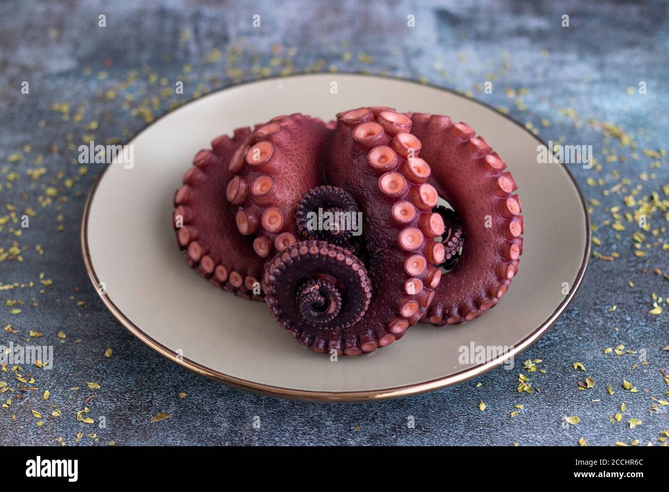 Octopus tentacles hi-res stock photography and images - Page 3 - Alamy