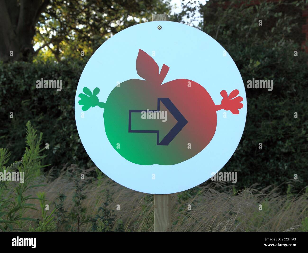 Pick Your Own, Apples, roadside sign, cartoon style, Drove Orchards, Norfolk Stock Photo
