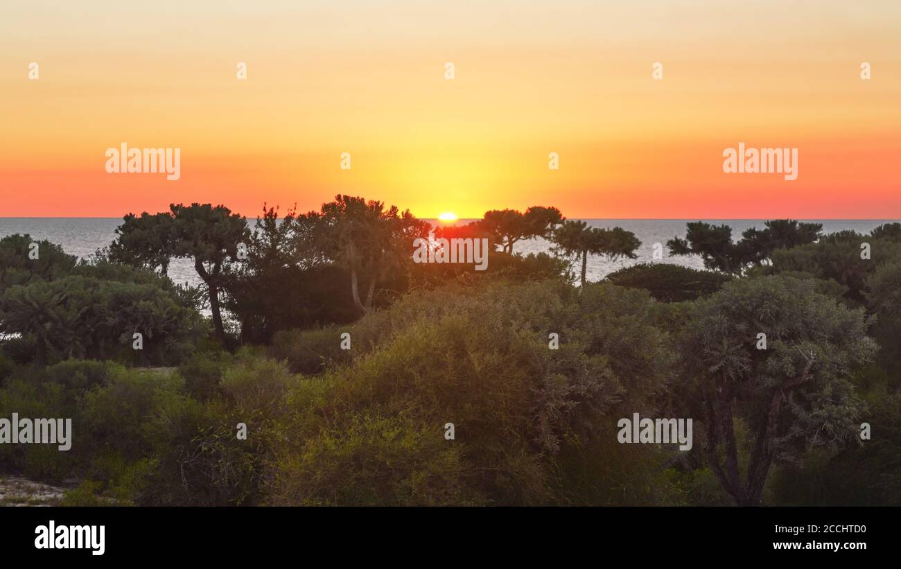 Setting sun with sky coloured orange and pink on tropical island, calm sea at distance, jungle forest in foreground Stock Photo