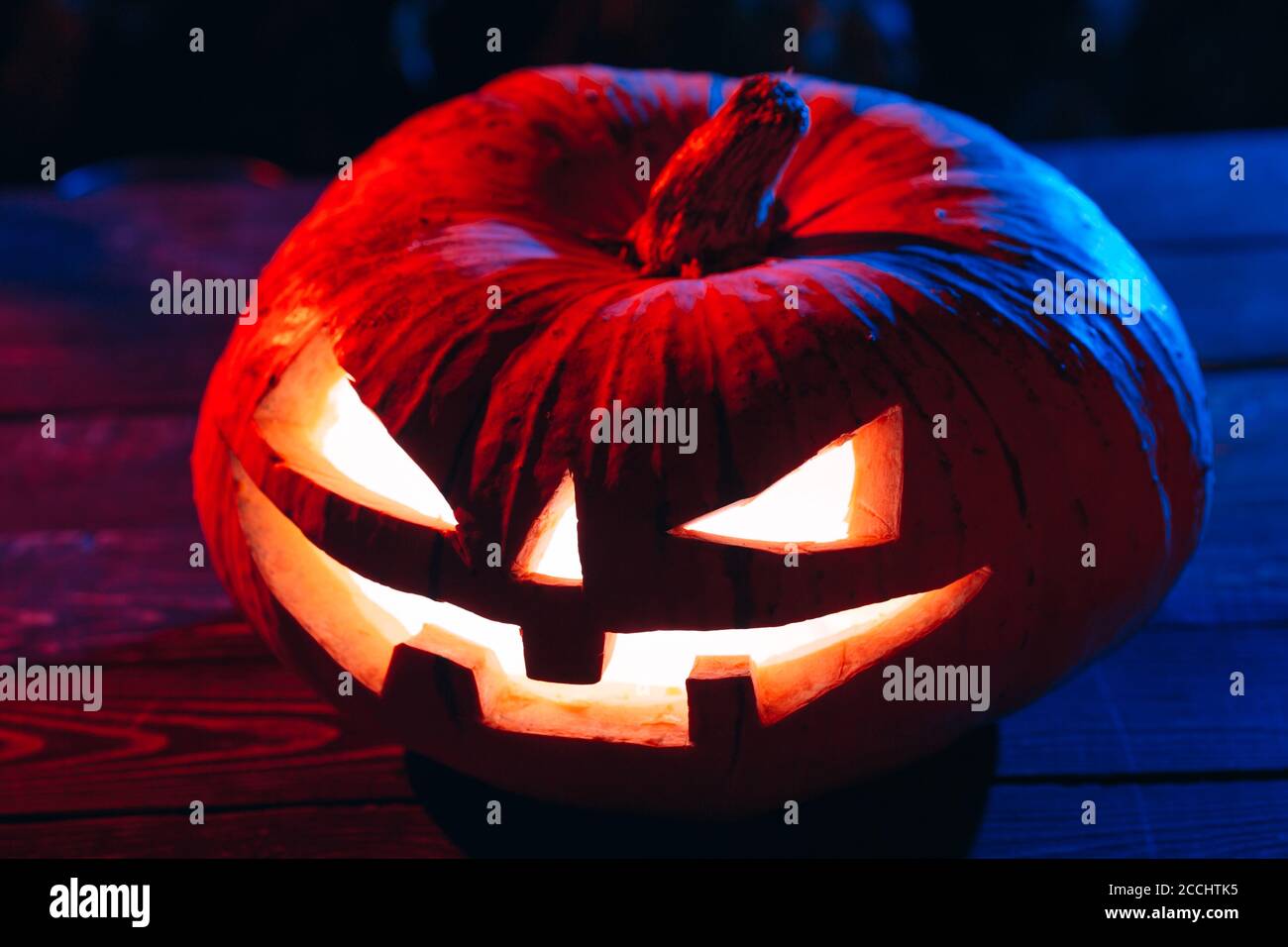 Halloween Pumpkin On a Tree In a dark Forest at Night Stock Photo - Alamy