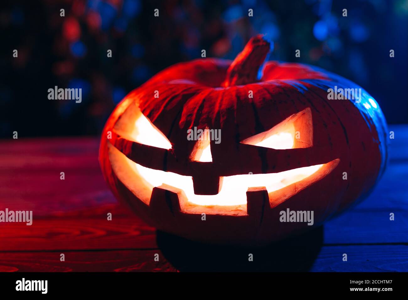 Halloween Pumpkin On a Tree In a dark Forest at Night Stock Photo - Alamy