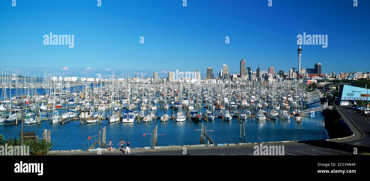 Yachts at Waitemata Harbour (Westhaven Harbour) with Skytower and Auckland skyline Stock Photo
