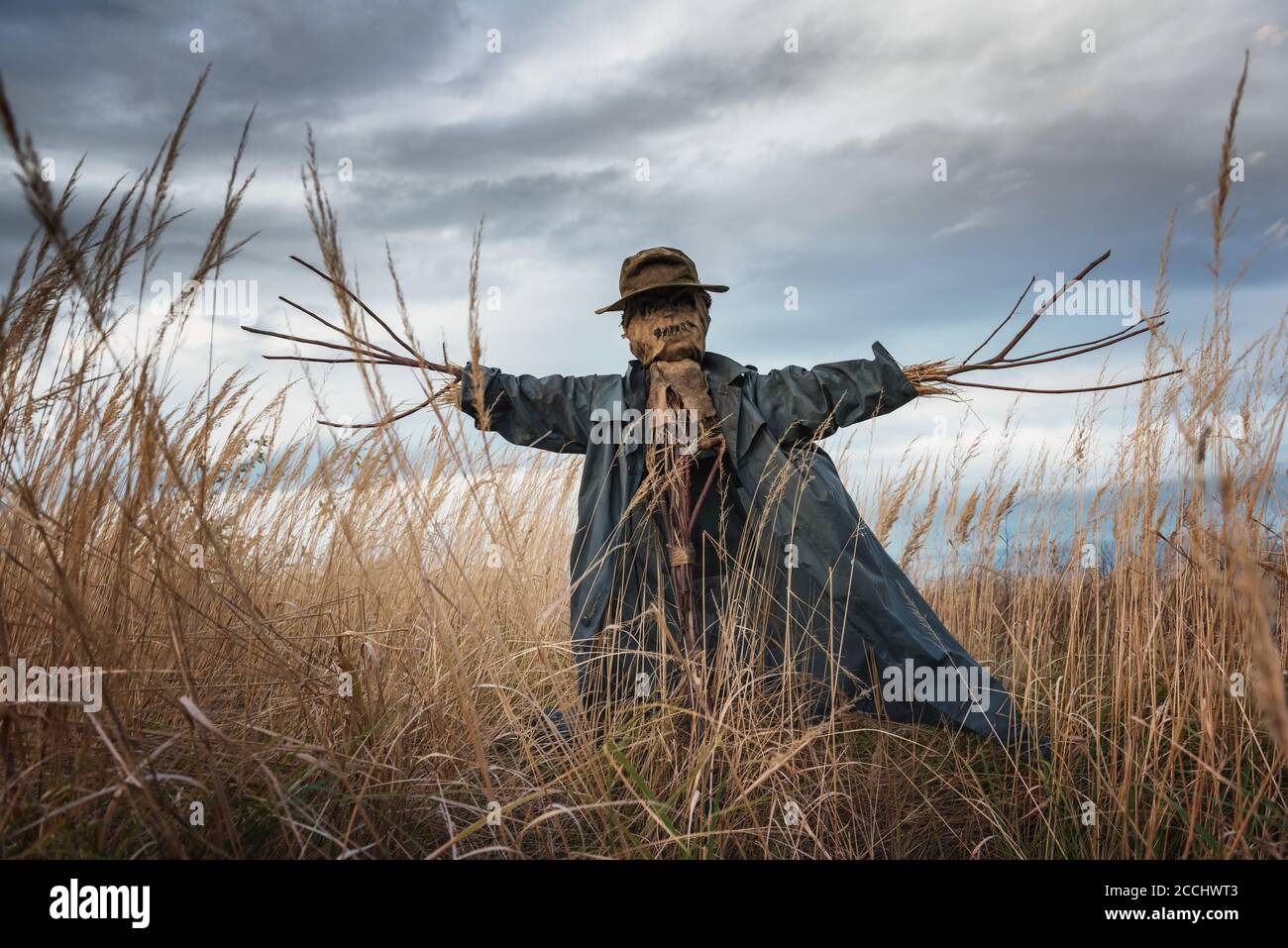 Scary scarecrow in dark cloak and dirty hat stands alone in a autumn field. Halloween concept Stock Photo