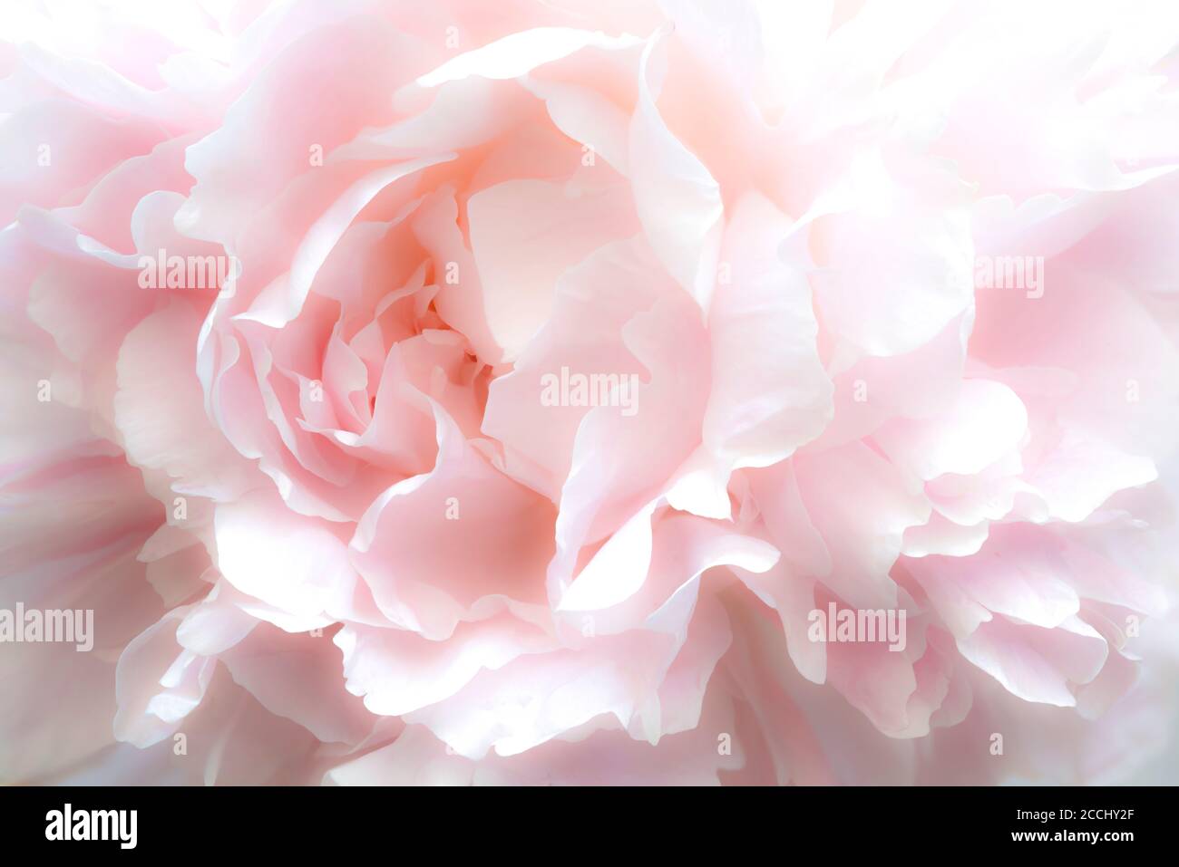 Dominique braud dembinsky hi-res stock photography and images - Alamy