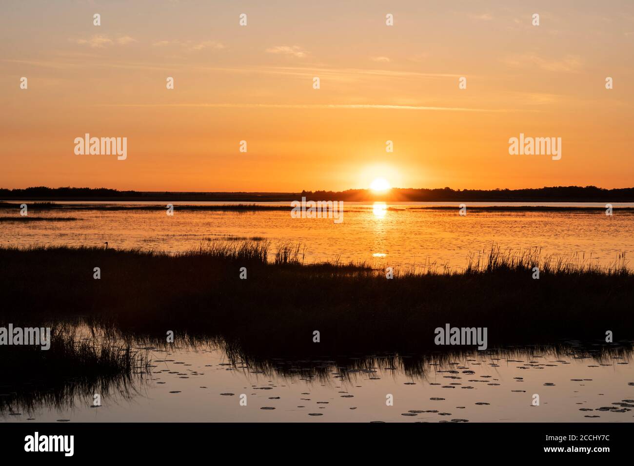 Sunrise over Phantom Lake, early Summer, Crex Meadows WMA, WI, USA, by Dominique Braud/Dembinsky Photo Assoc Stock Photo