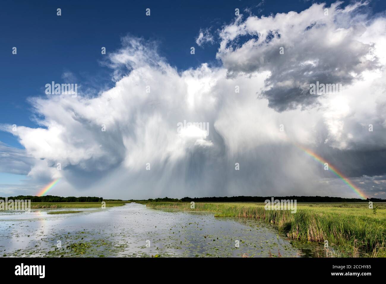Cumulus congestus clouds and fractured rainbow, Crex Meadows WMA, WI, USA, by Dominique Braud/Dembinsky Photo Assoc Stock Photo