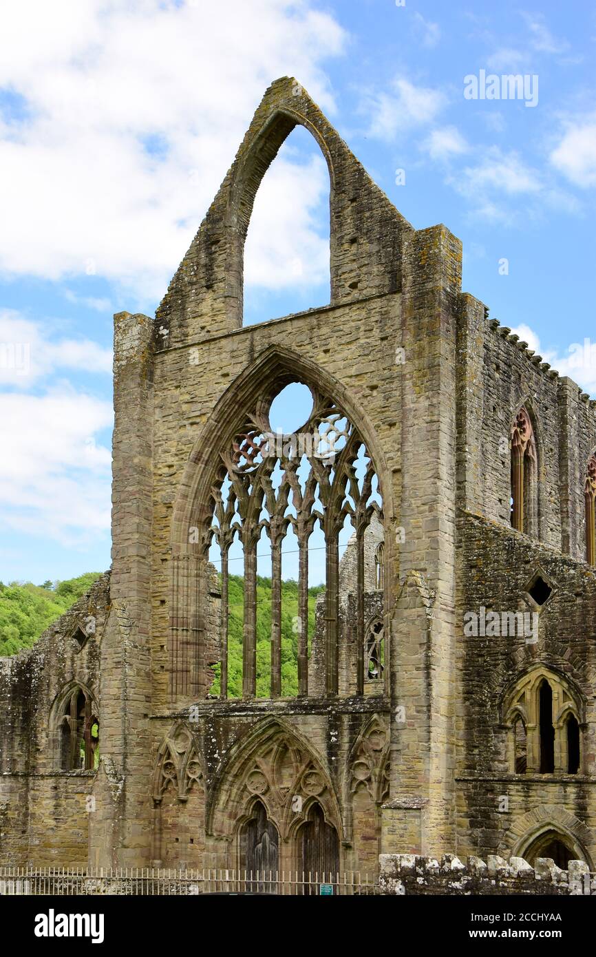 Founded in 1131, and situated near the village of Tintern on the Welsh bank of the river Wye, the border between England & Wales, Stock Photo