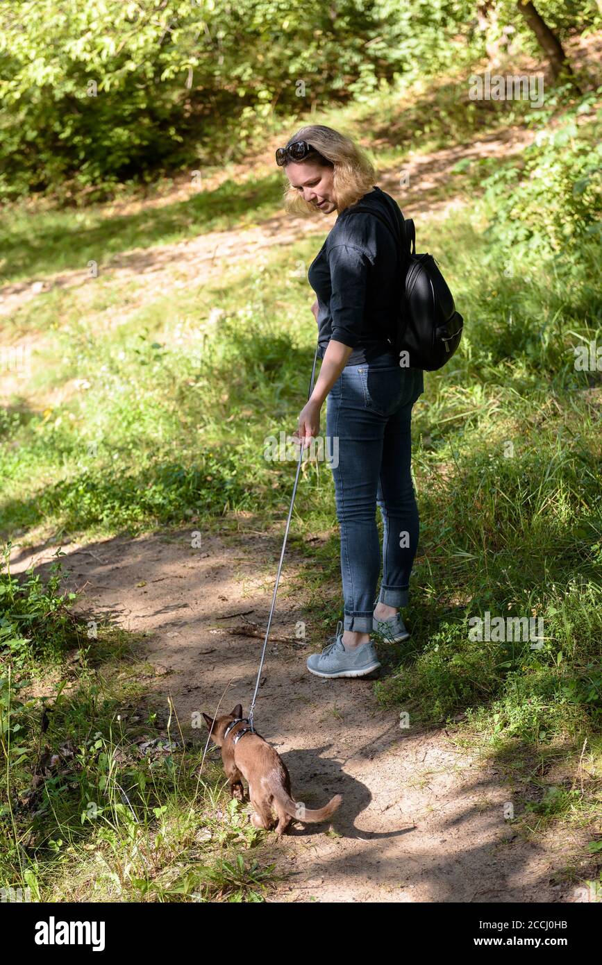 Woman leads Burmese cat on leash in park. Collared pet wandering outdoor adventure in summer. Burma kitten wearing harness with its owner are walking Stock Photo