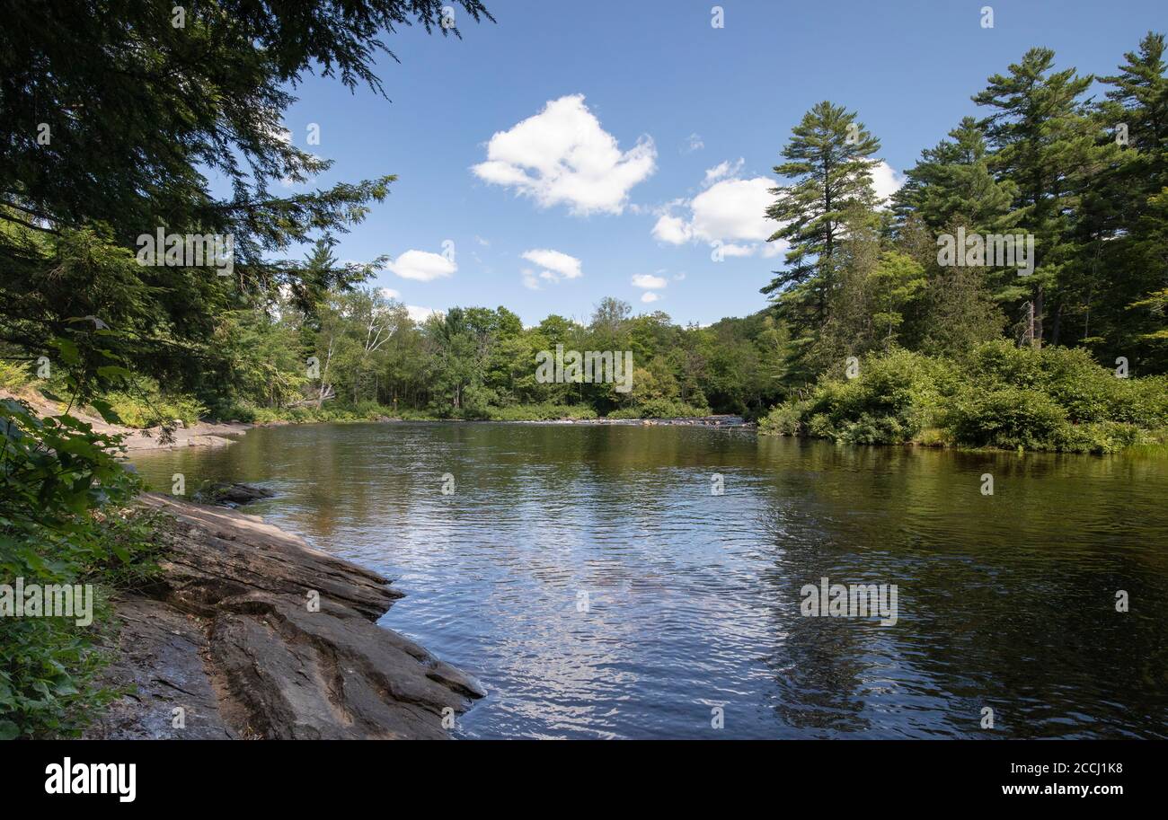 Oxtongue hi-res stock photography and images - Alamy