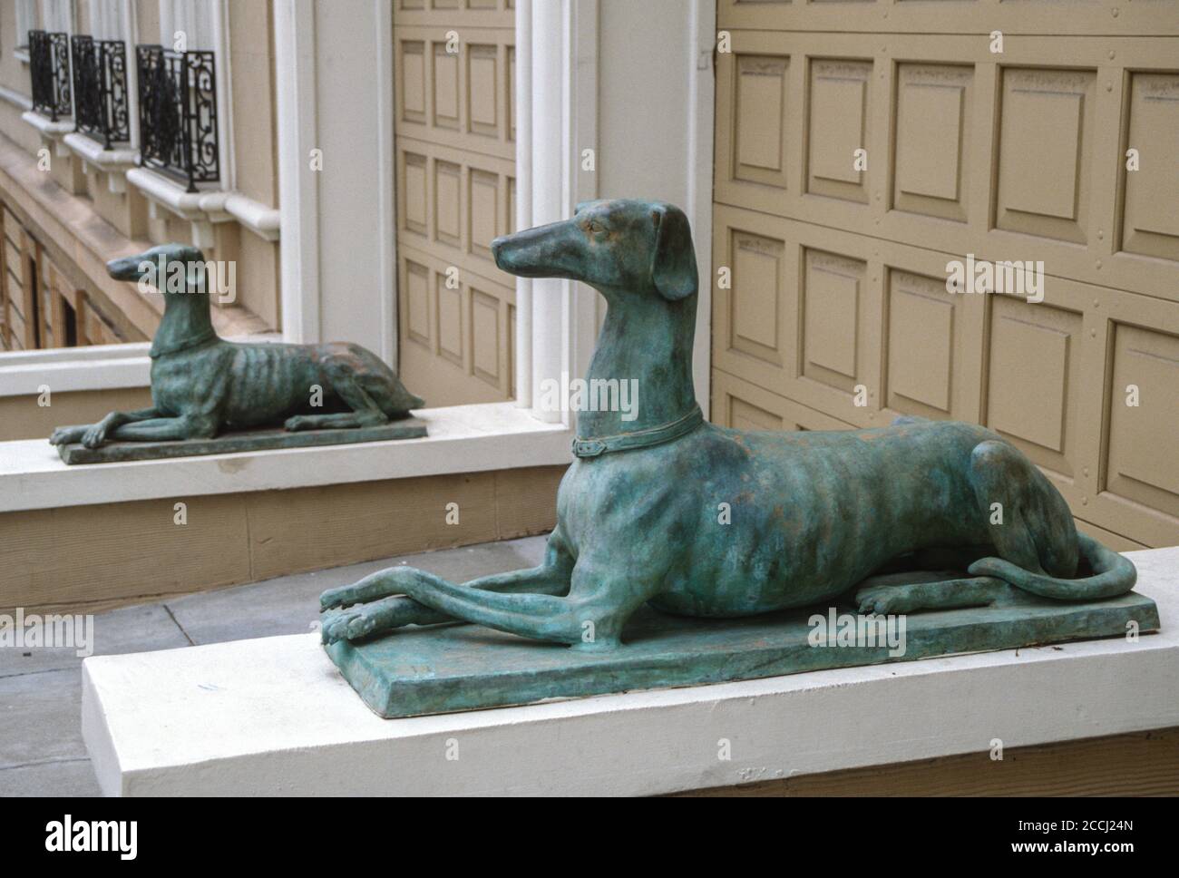 San Francisco, California, USA. Pacific Heights, Dogs Guarding Garage
