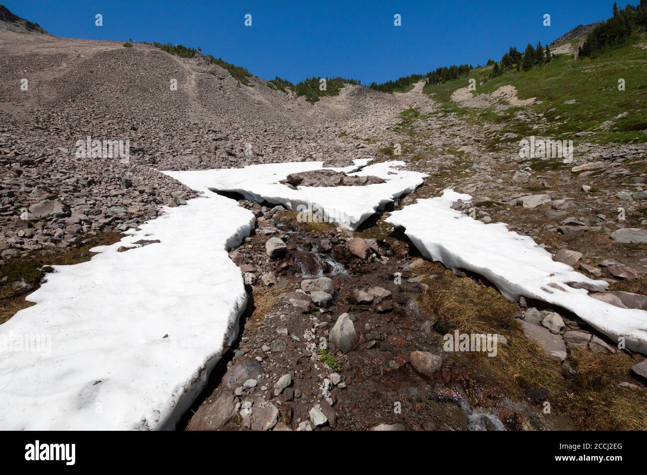 Channel through snow field formed by flowing Cispus River, Goat Rocks Wilderness, Gifford Pinchot National Forest, Washington State, USA Stock Photo