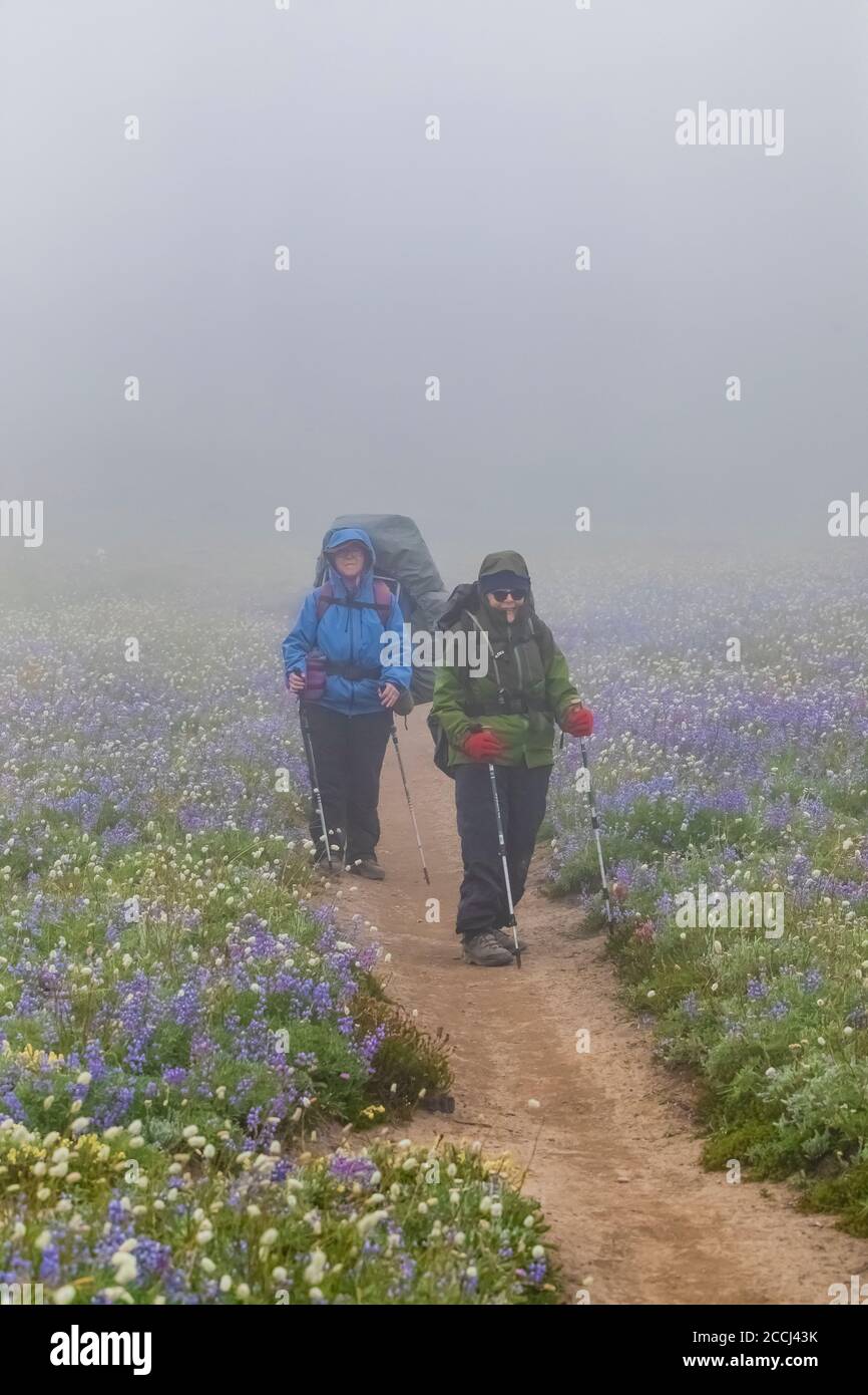 Joan Michaels and Karen Rentz hiking the Pacific Crest Trail on a rainy