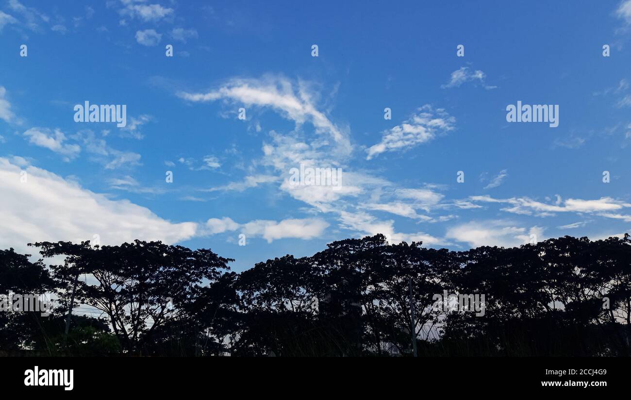 Sky and tree wallpaper hi-res stock photography and images - Alamy