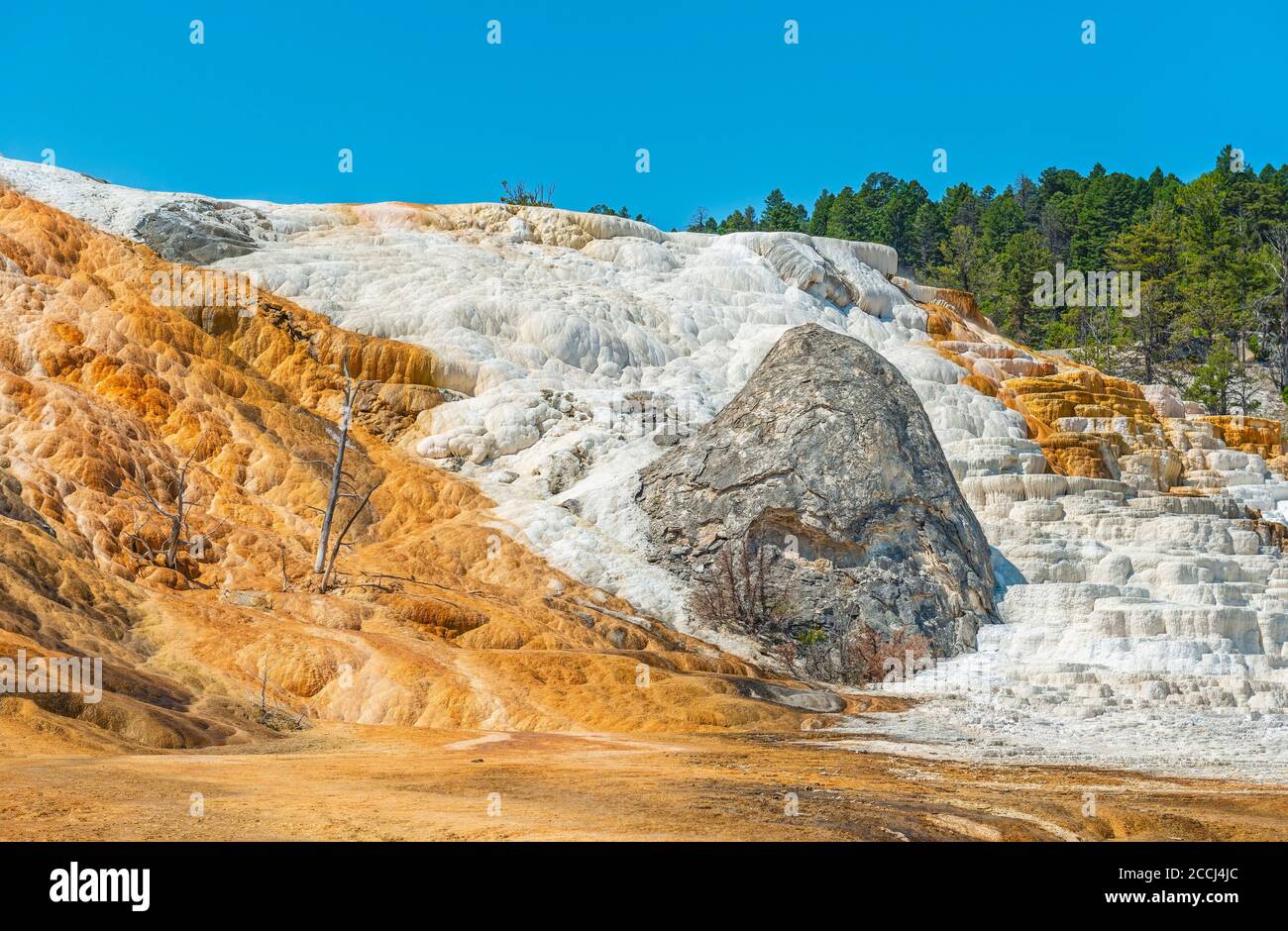 Mammoth Hot Springs landscape, Yellowstone national park, Wyoming, USA (United States of America). Stock Photo
