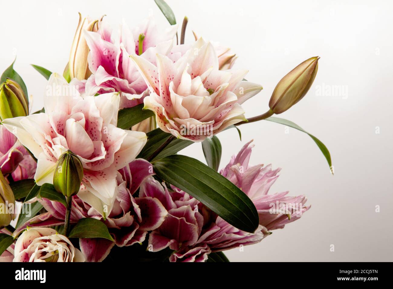 Bouquet of pink and white lilies isolated on white background. Macro ...