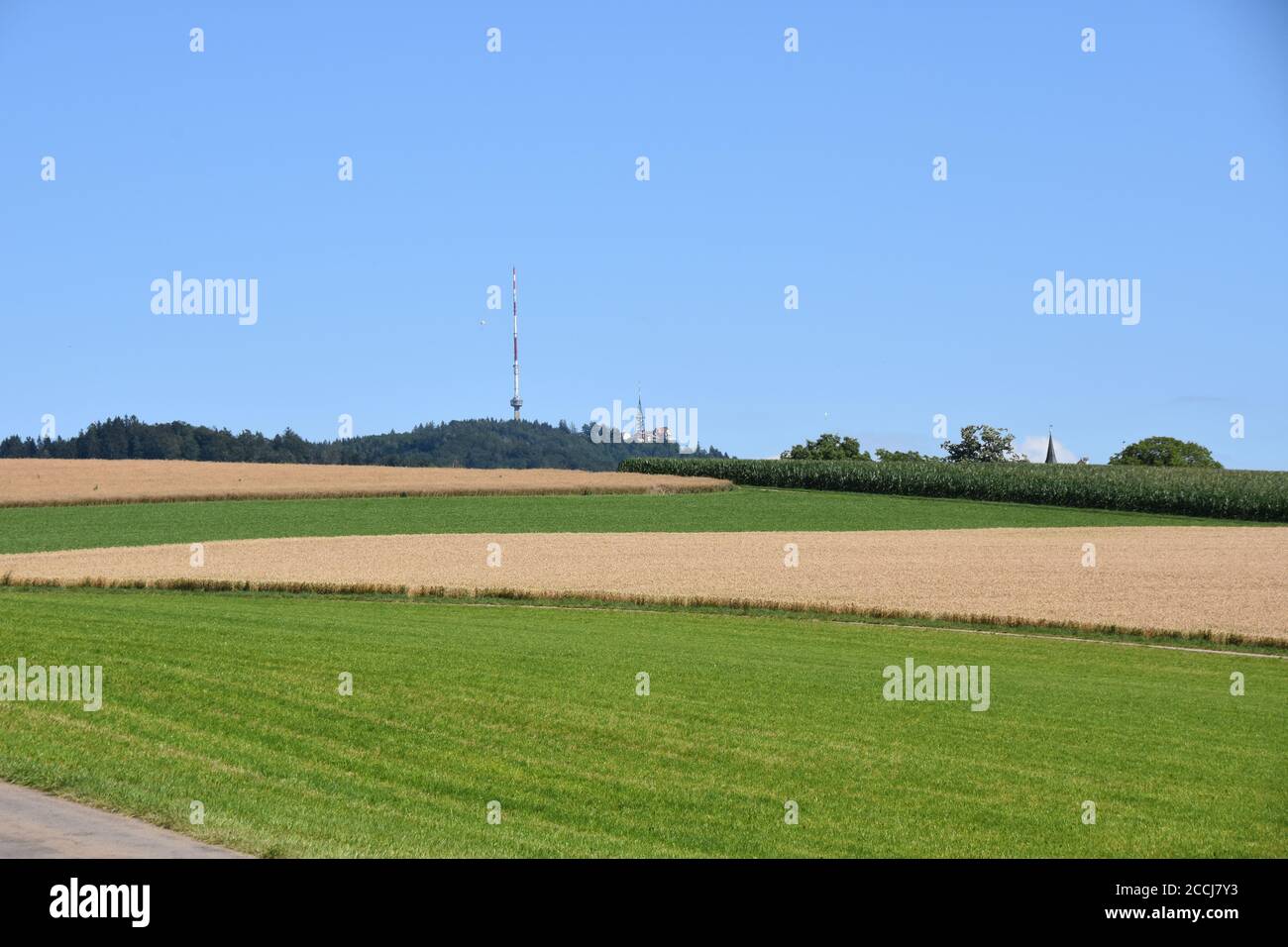 View on the look-out tower and the Uetliberg TV-tower at Uetliberg mountain from the tourist path passing fields and meadows near Uitikon village. Stock Photo