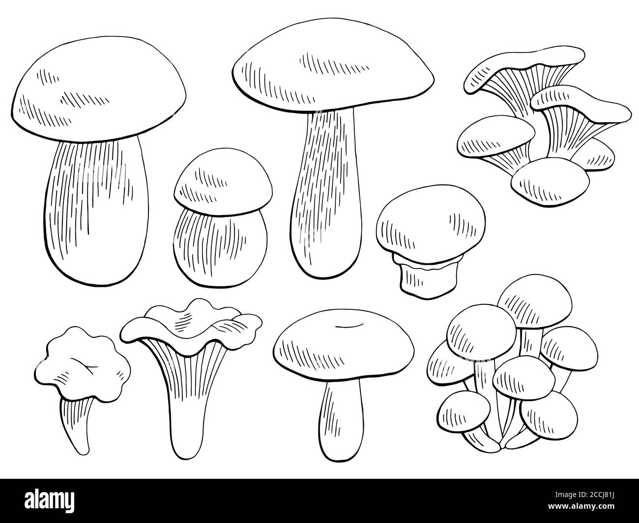 Mushrooms set graphic black white isolated sketch illustration vector Stock Vector
