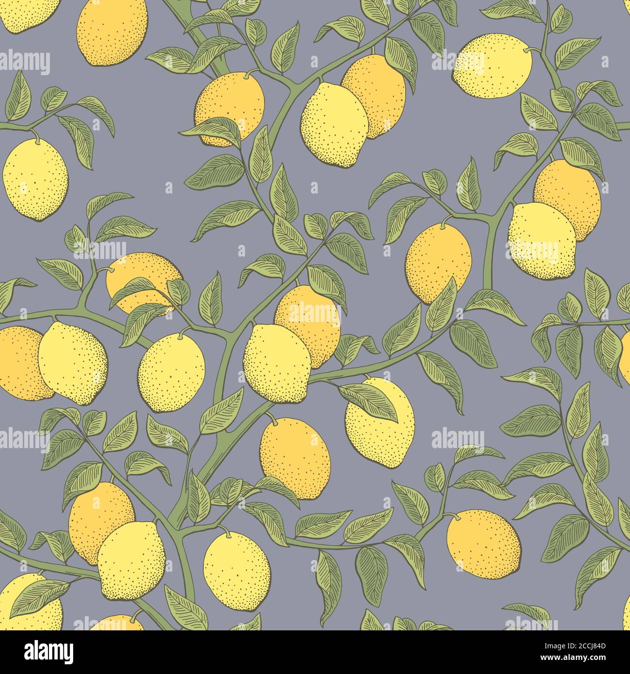 Lemon fruit graphic color seamless pattern background sketch illustration vector Stock Vector
