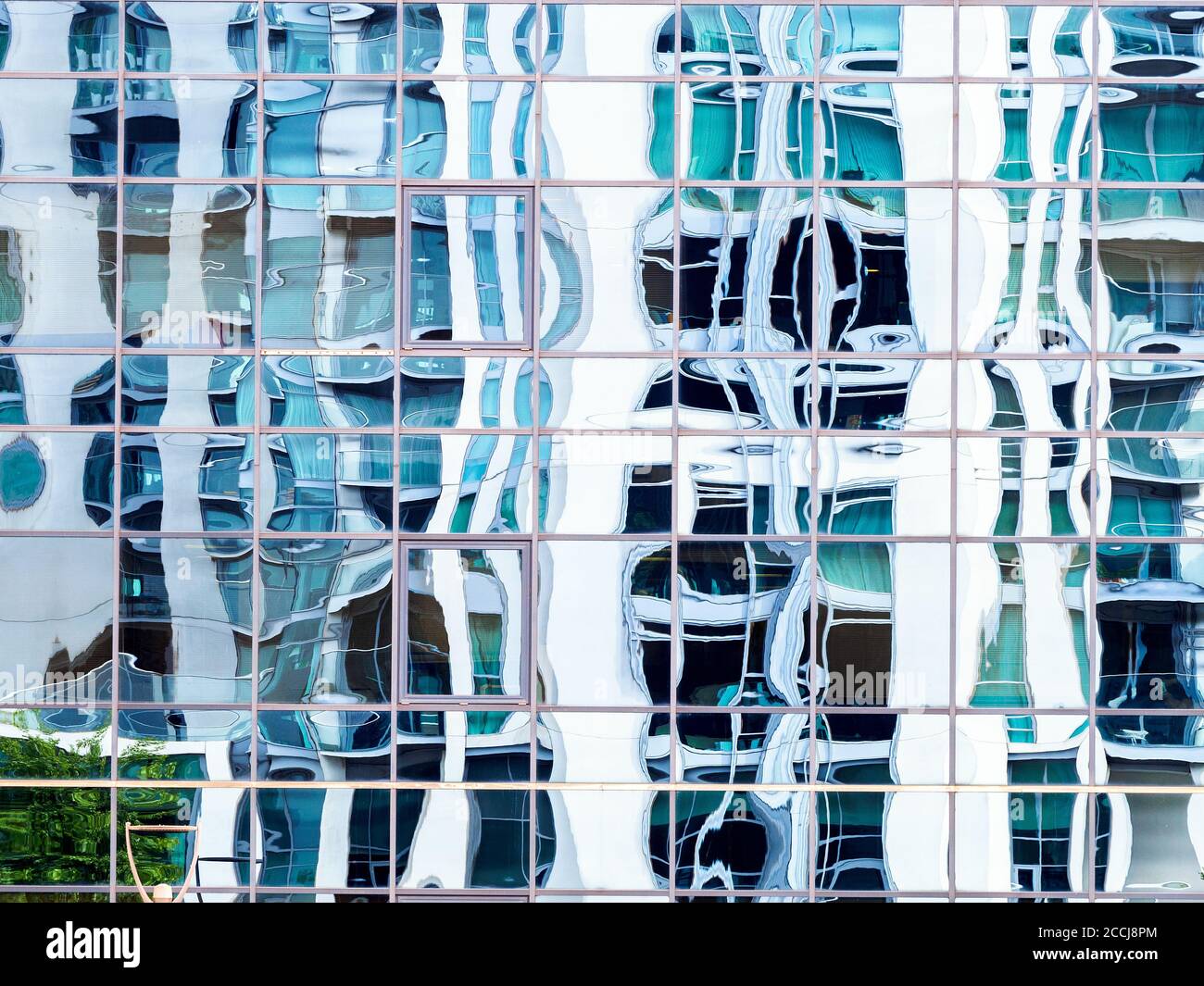 OLYMPUS DIGITAL CAMERA Stock Photo