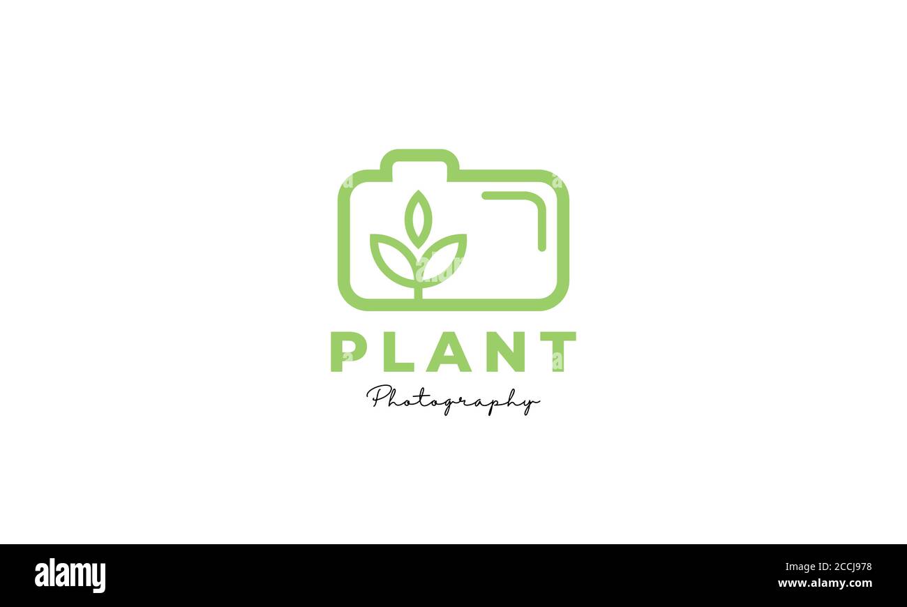 Plant / flower /  camera photography  line logo design icon Stock Vector