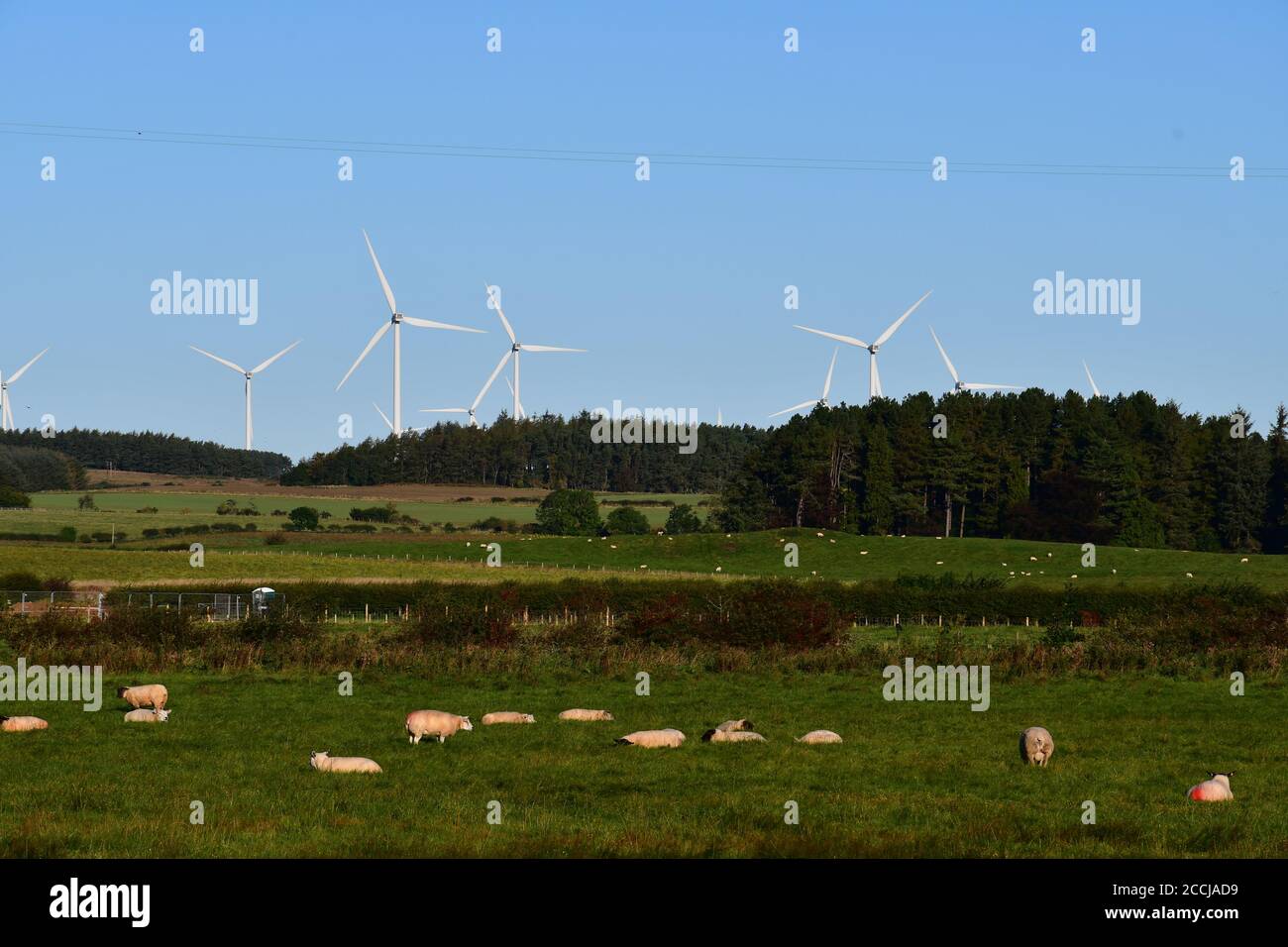 Green and sustainable agriculture hi-res stock photography and images ...