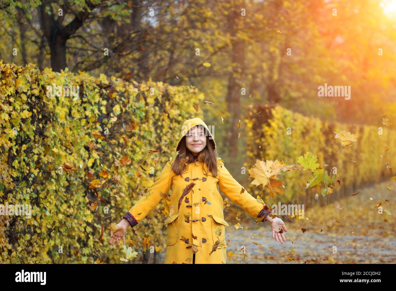 autumn leaves fall around teenage girl in the park Stock Photo - Alamy