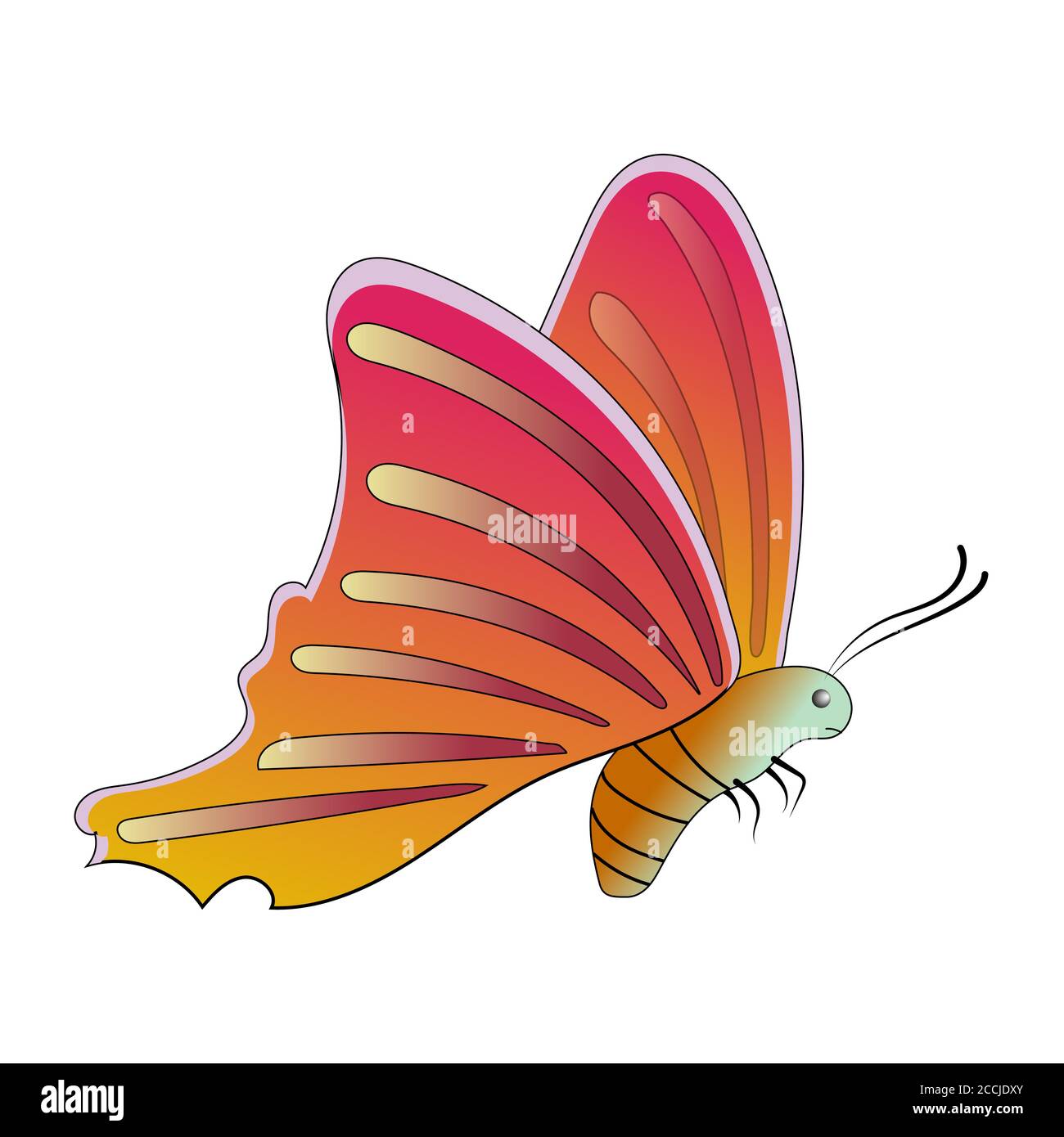 Butterfly with yellow wings isolated on a white background. Side view. Golden stripes on the wings. Vector EPS10. Stock Vector