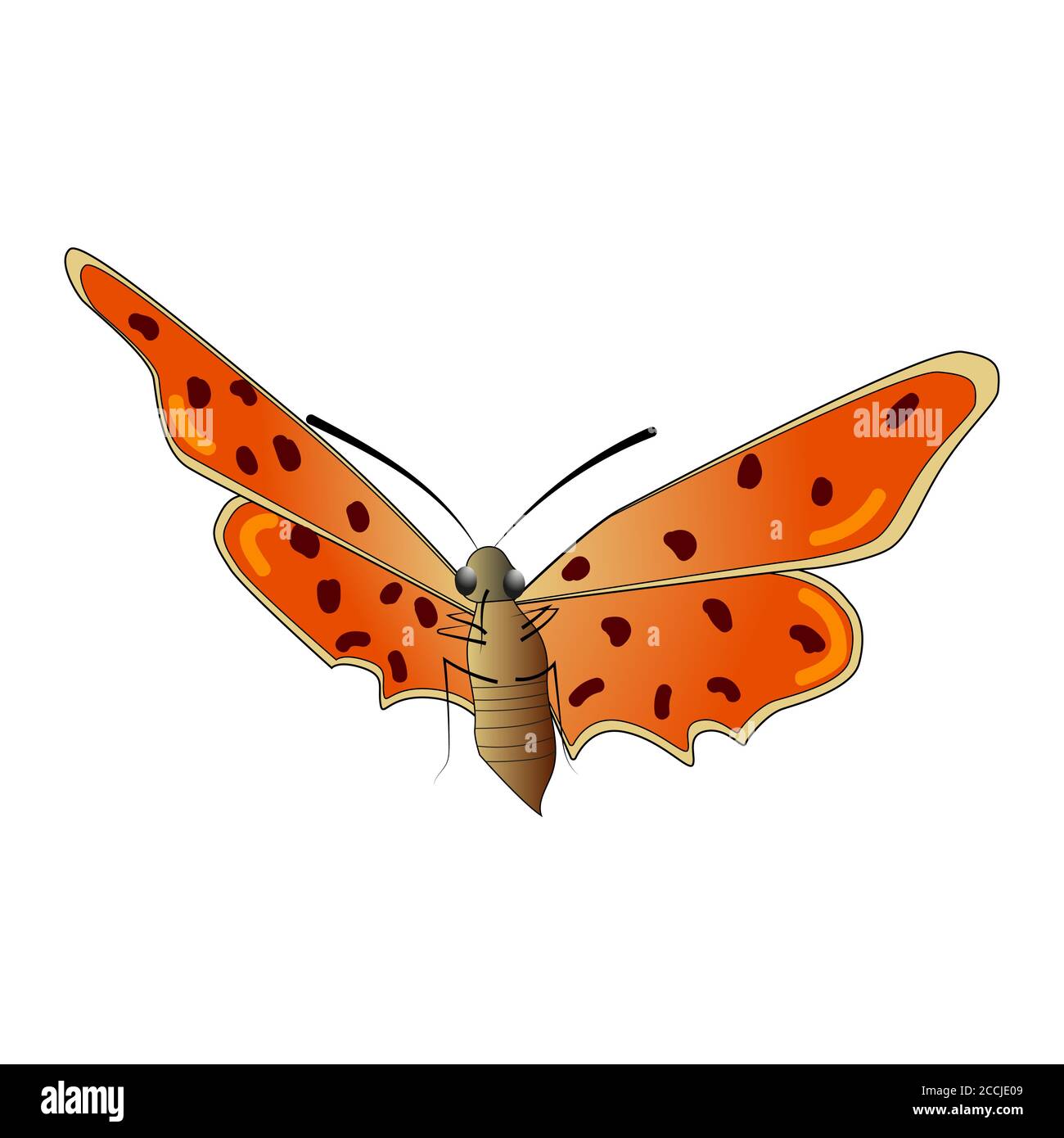 Butterfly isolated on a white background. View from below. A multicolored butterfly with a spotted pattern on red wings. Vector EPS10. Stock Vector