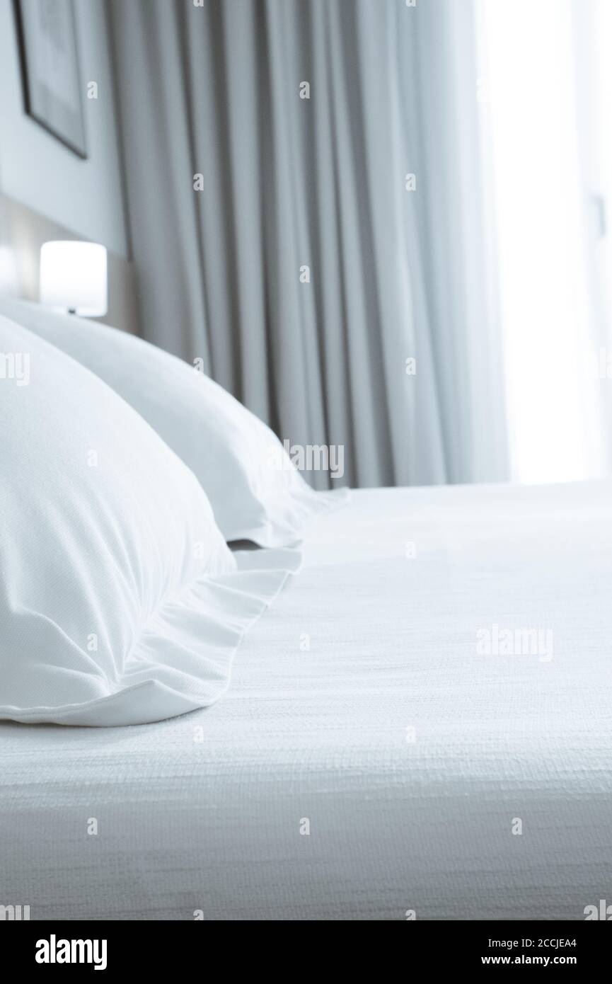 hotel king pillows