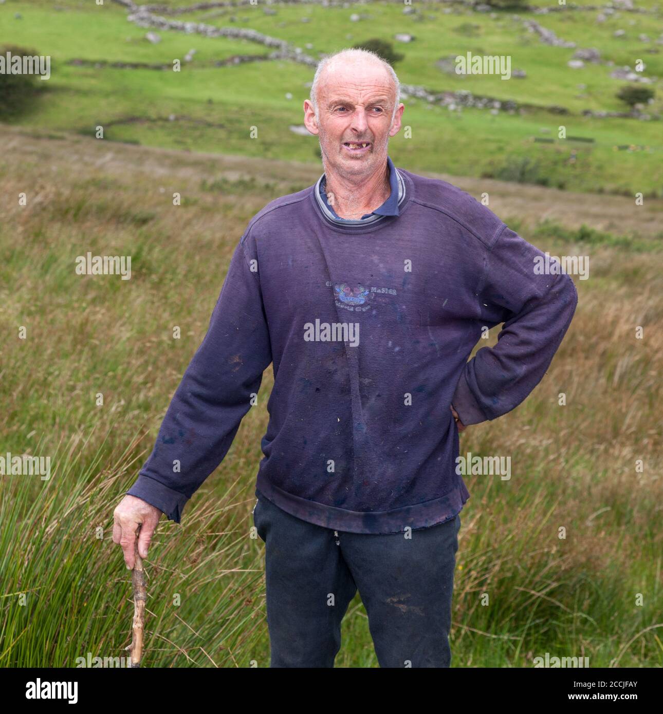 Healy Pass, Cork, Ireland. 22nd August, 2020. Farmer John O'Shea from Adrigole out walking his land on the Healy Pass in West Cork, Ireland. - Credit; David Creedon / Alamy Live News Stock Photo