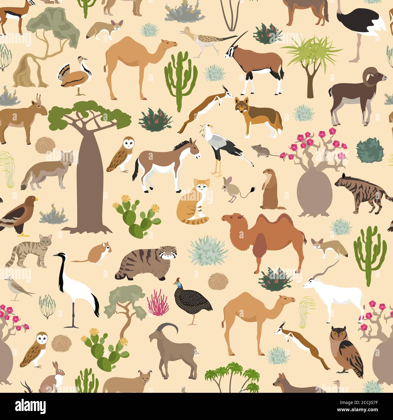 Desert biome, xeric shrubland biome, natural region seamless pattern.  Terrestrial ecosystem world map. Animals, birds and vegetations design set.  Vect Stock Vector Image & Art - Alamy