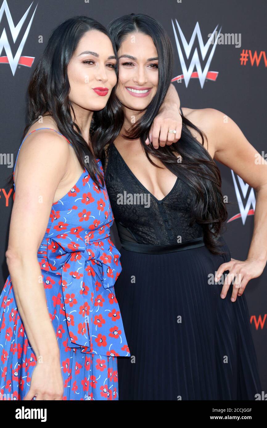 LOS ANGELES - JUN 6: Brie Bella, Nikki Bella at the WWE For Your ...