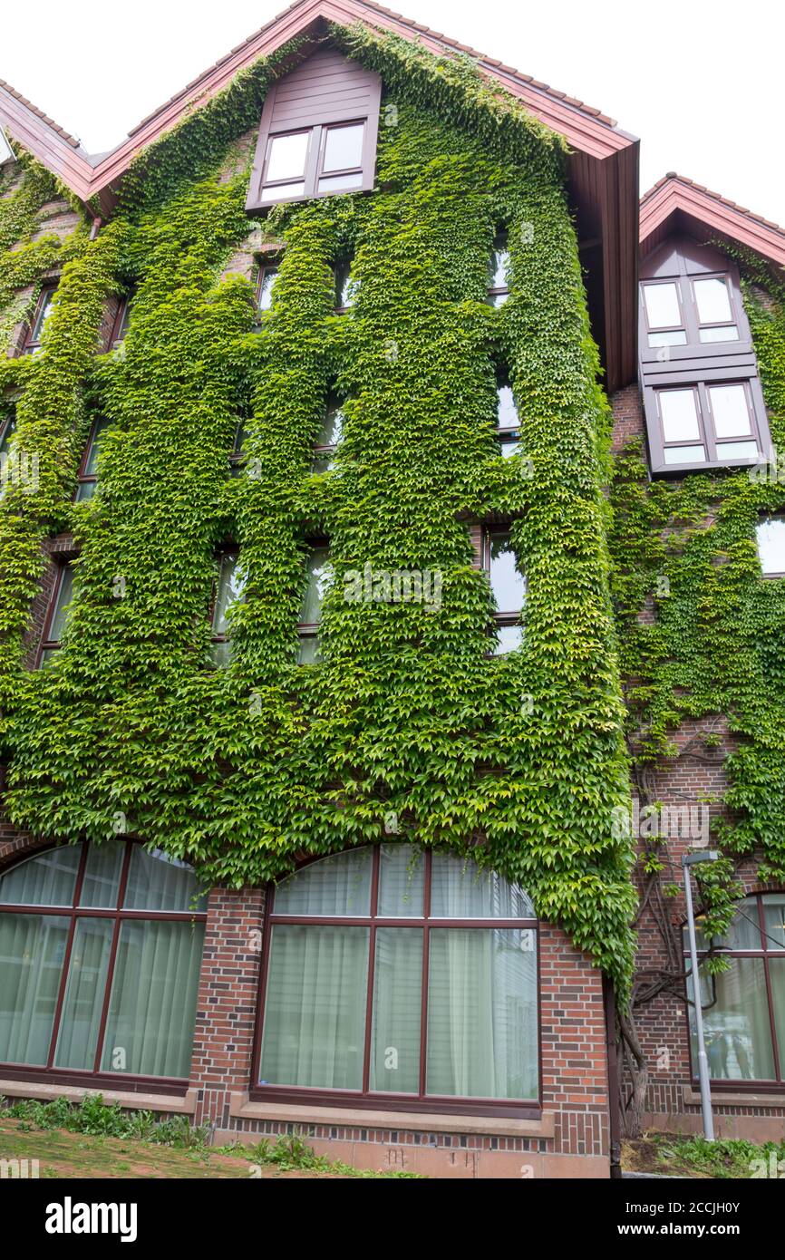 Green wall in a sustainable eco building Stock Photo