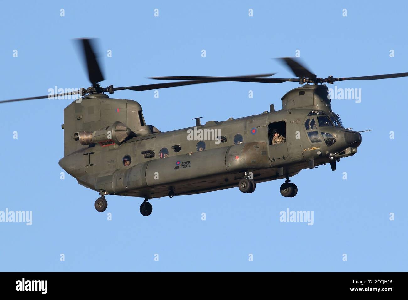 RAF Chinook heavy lift helicopter on approach to Wattisham airfield. Stock Photo