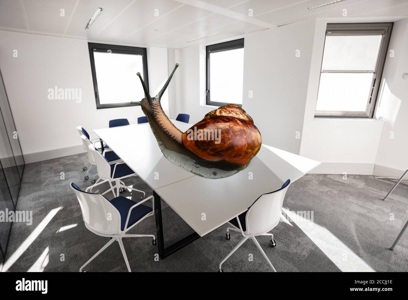 Big slow boring meeting concept with snail sit on conference room desk Stock Photo