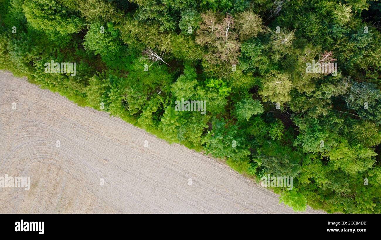 a green forest photographed with the drone Stock Photo - Alamy