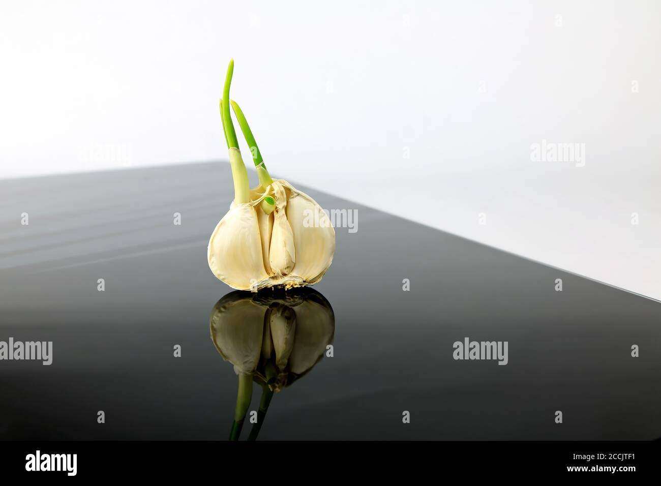 Garlic on a black plate wanders across the picture Stock Photo