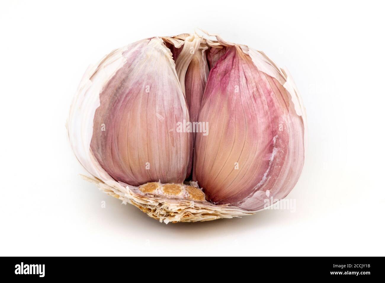 Garlic Bulb, White Background Stock Photo
