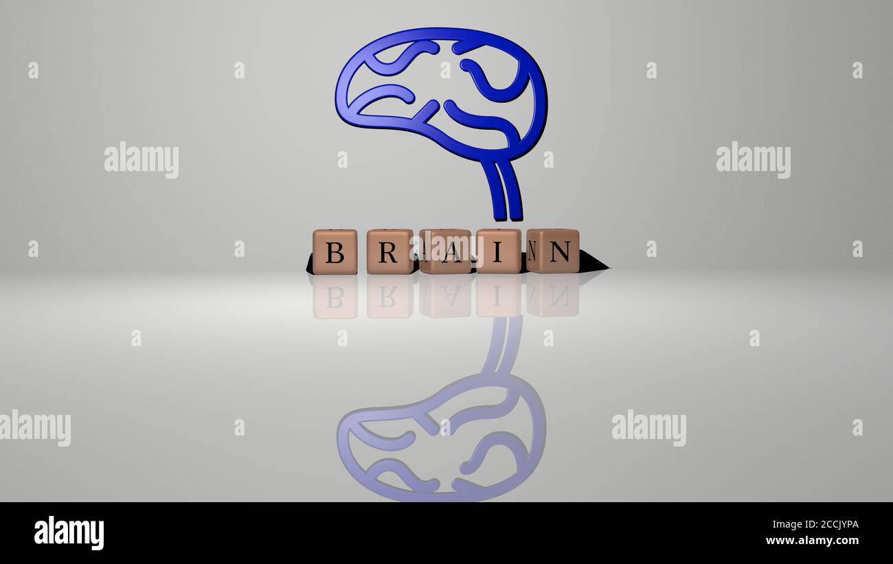 brain text of cubic dice letters on the floor and 3D icon on the wall ...