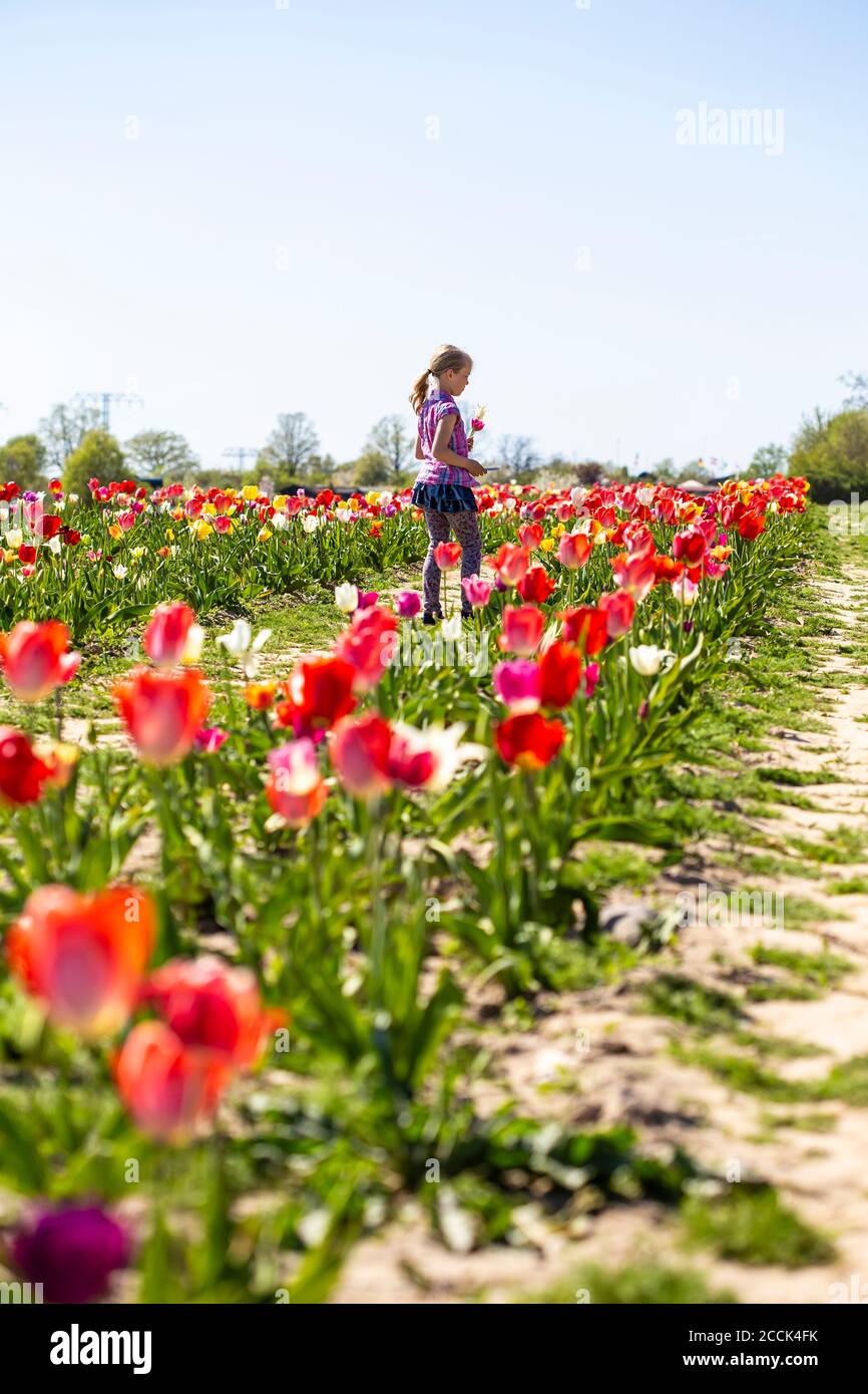 Girl standing in flower field hi-res stock photography and images - Alamy