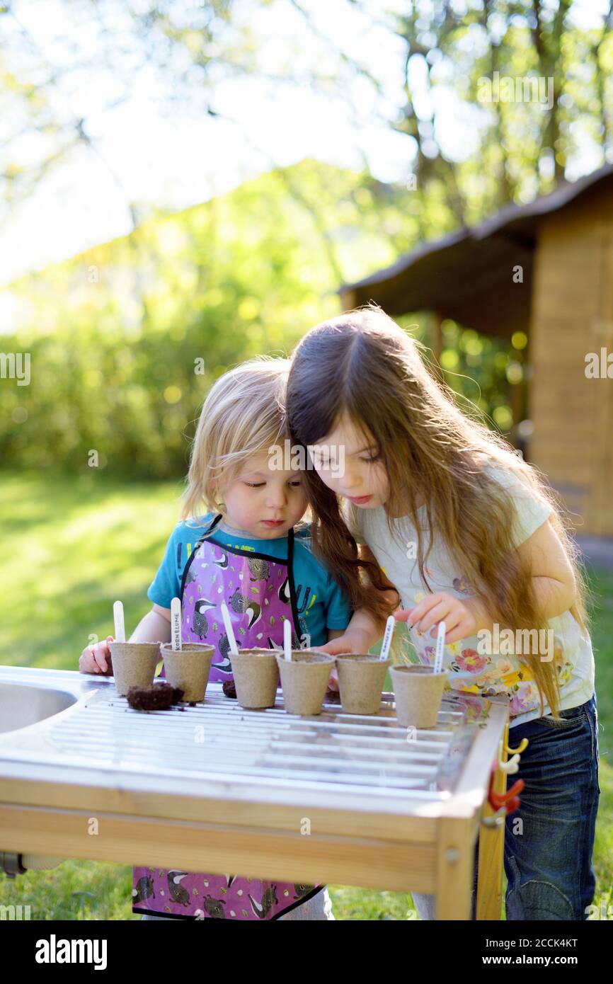 Cute sisters planting seeds in small pots on table at yard Stock Photo