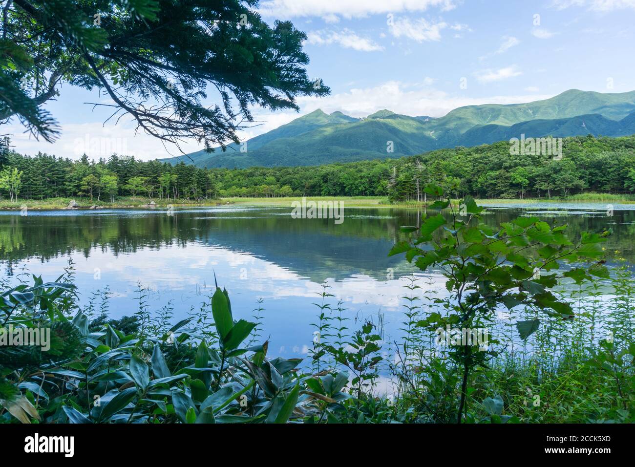 View Of Mountains And Lakes In Shiretoko Five Lakes National Park 知床五湖 In Hokkaido Japan Image Taken In Summer Stock Photo Alamy