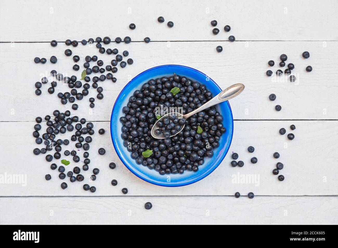 Bowl of fresh wild blueberries Stock Photo
