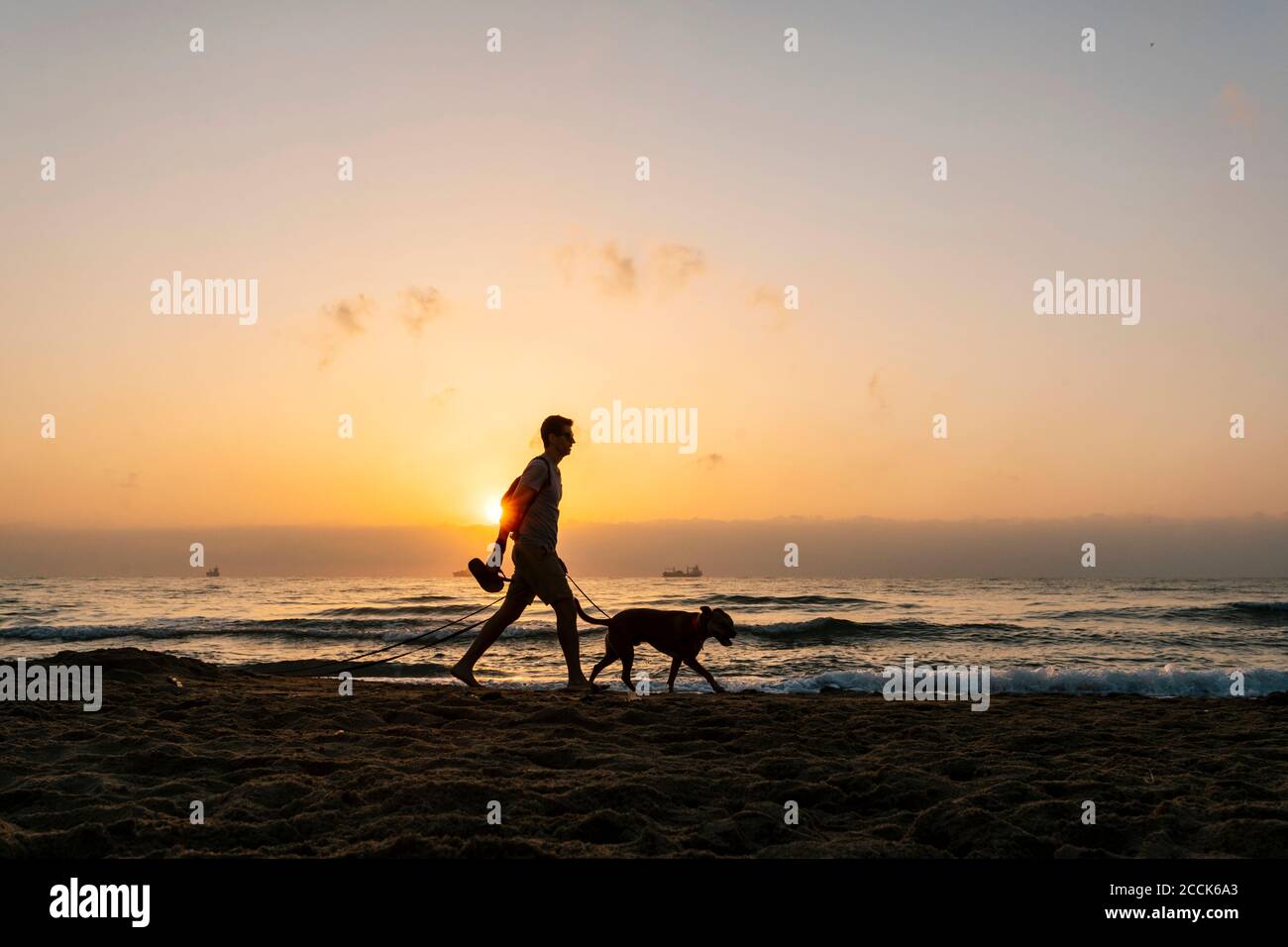 Silhouette man walking with his dog at beach during dawn Stock Photo