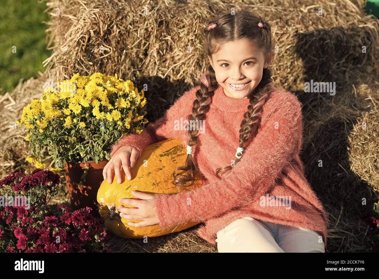 harvest season. small girl big pumpkin. ready for halloween. autumn time. cheerful kid dried flower. fall composition. what can be cooked from zucchini. autumn rich in harvest. vegetable marrow. Stock Photo