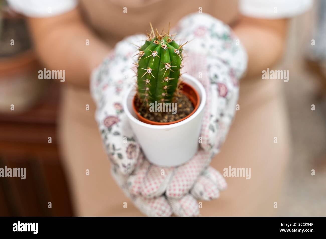 Plant Quarantine High Resolution Stock Photography And Images Alamy