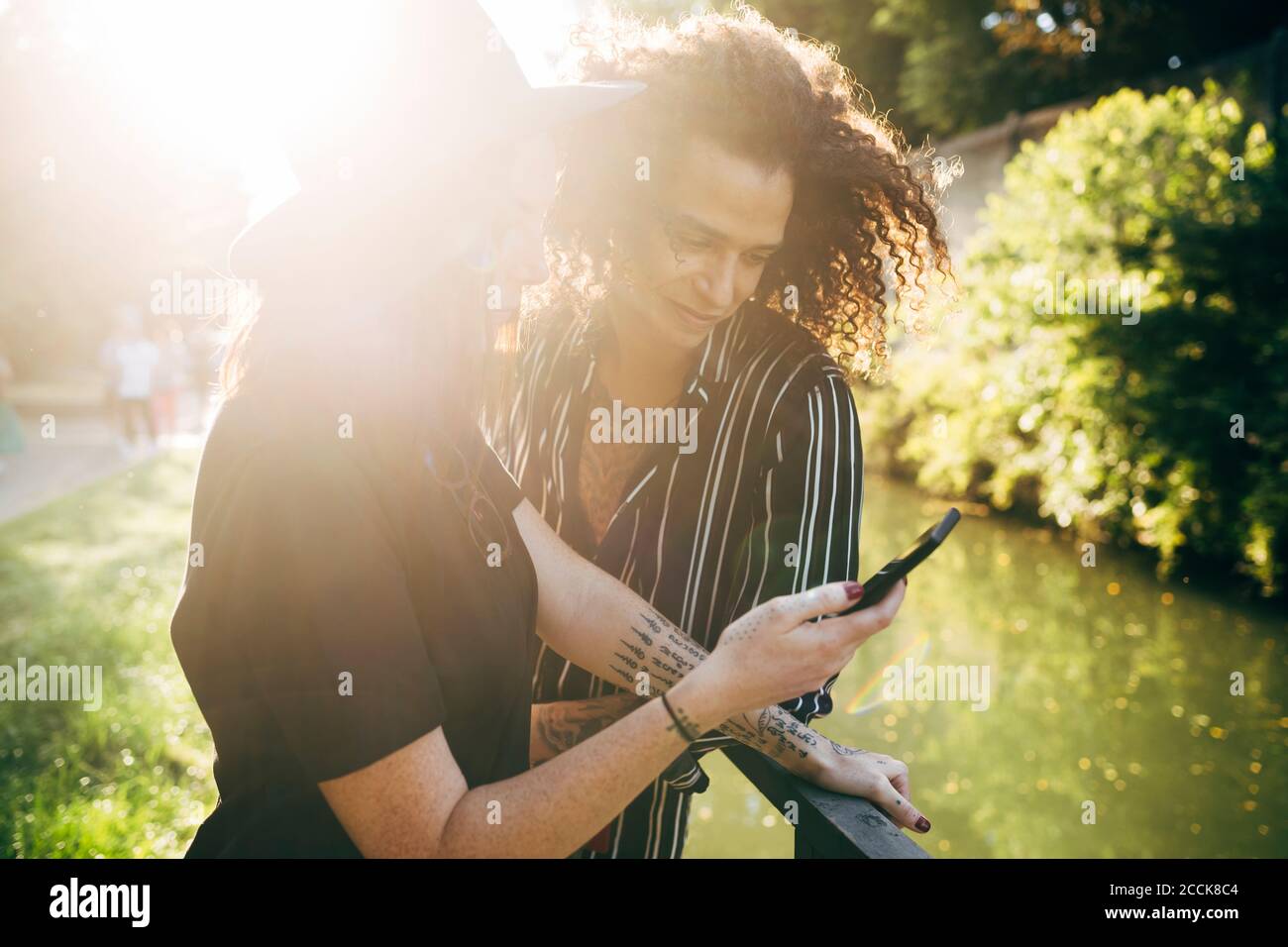 Couple using smart phone while standing in park on sunny day Stock Photo