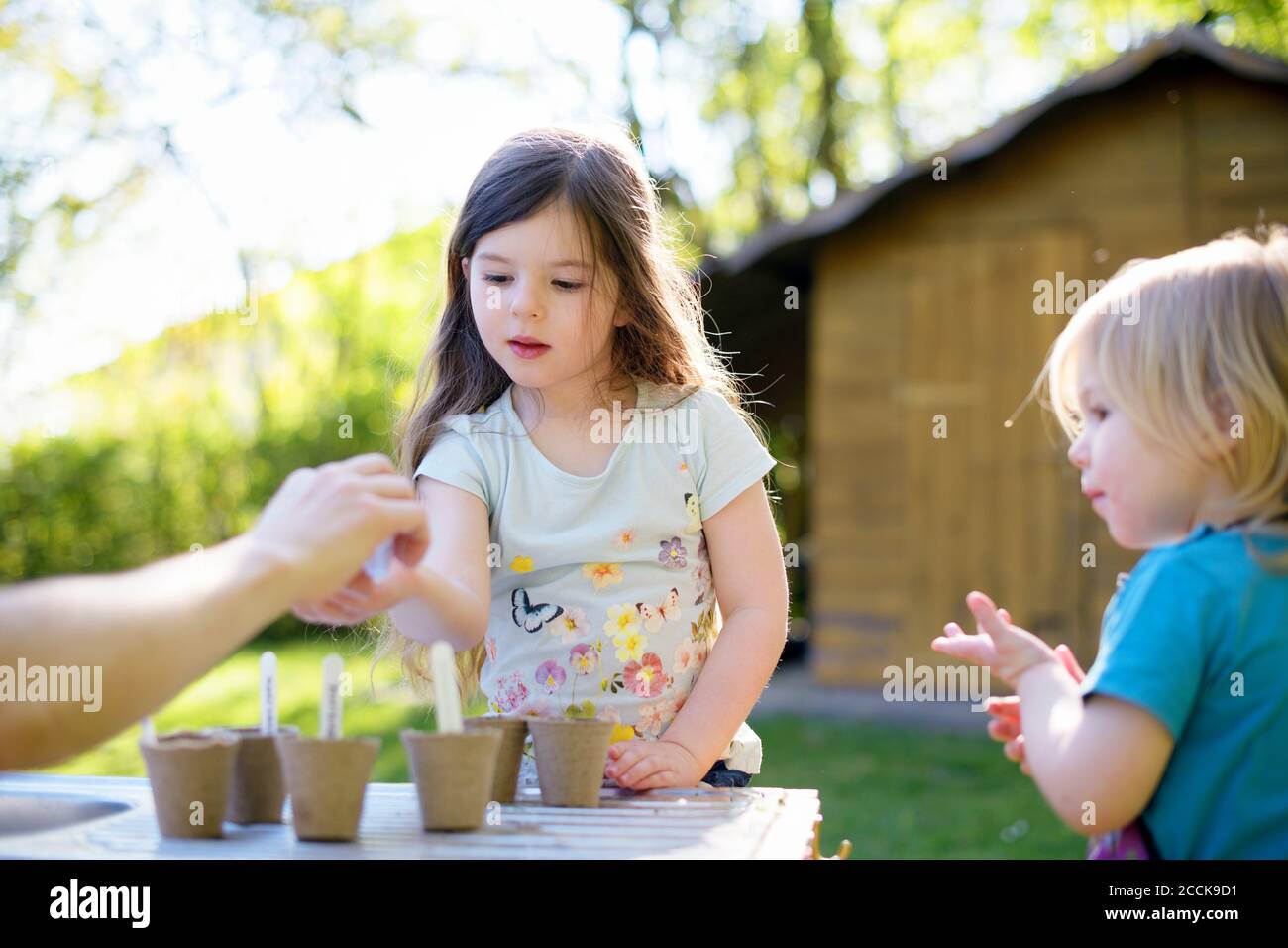 Father giving seeds to girl while gardening on table at yard Stock Photo