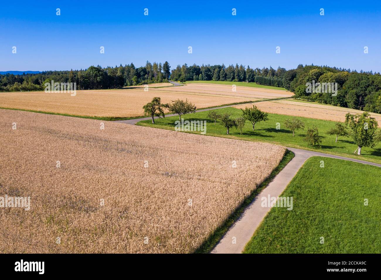 Germany, Baden-Wurttemberg, Aerial view of summer fields in Swabian Alps Stock Photo