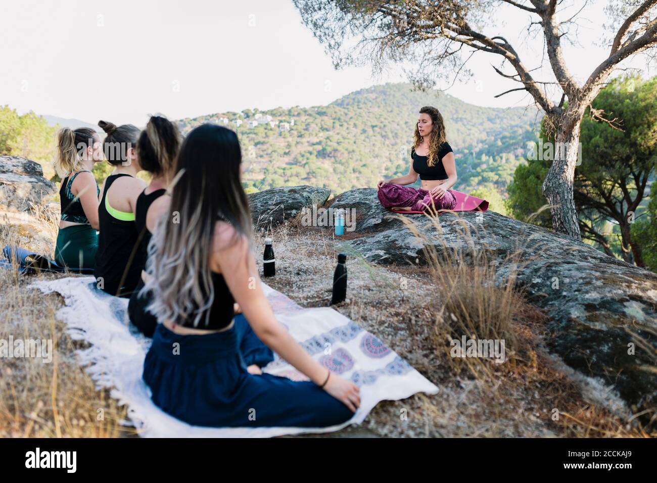 yoga-in-the-forest-group-hi-res-stock-photography-and-images-alamy